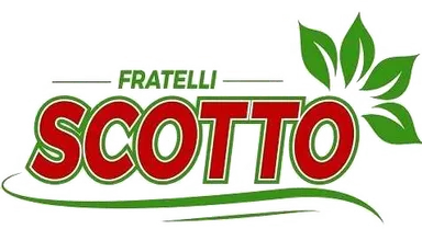 Supermercato Fratelli Scotto