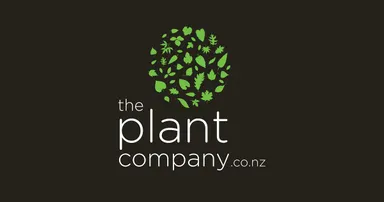 The Plant Company