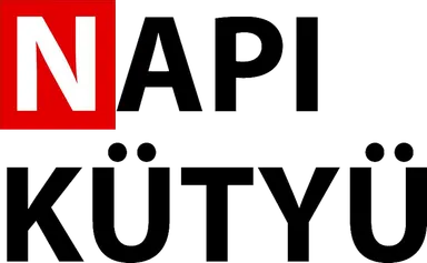 NapiKütyü