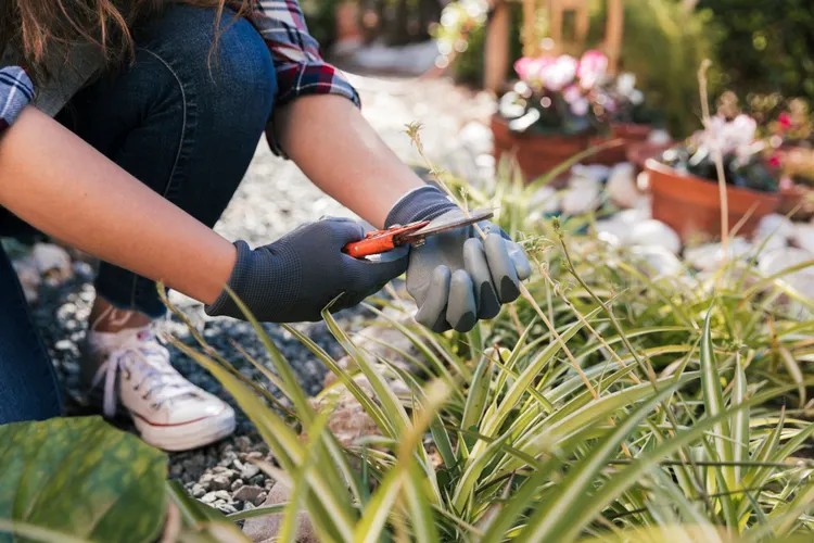 Rinnovare il giardino in primavera: sconti su bricolage e decorazione da Leroy Merlin e Obi