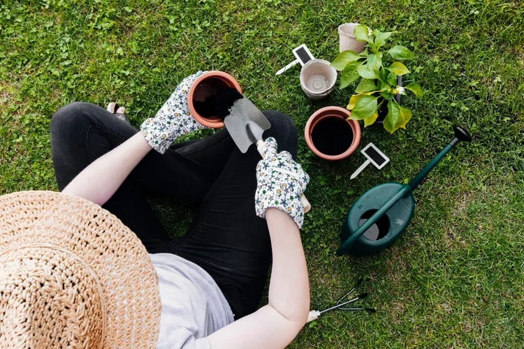 Jardinage de printemps : les promotions incontournables de Castorama et Brico Dépôt en 2025