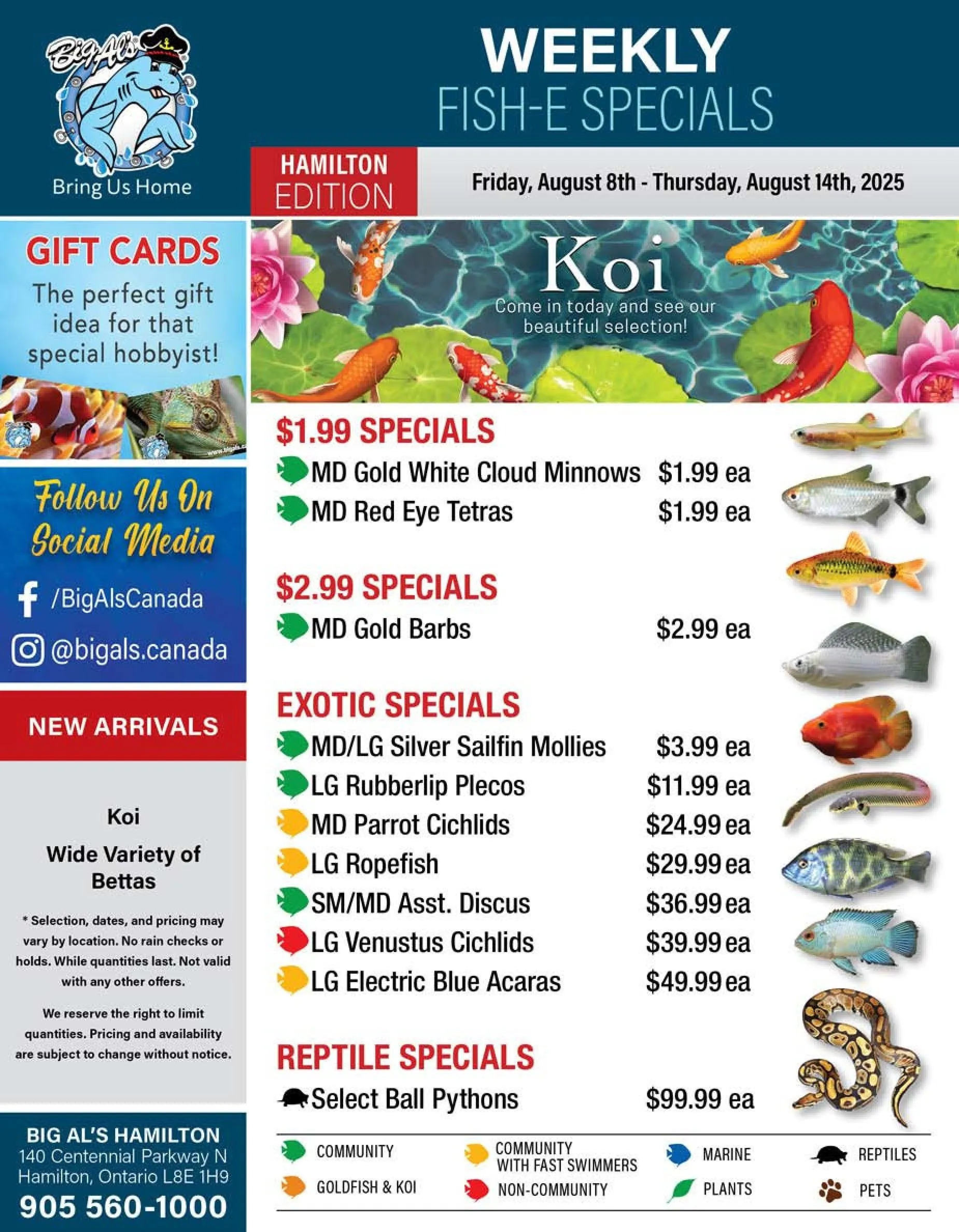  Big Al's Pets flyers  - August 8 August 14 2025