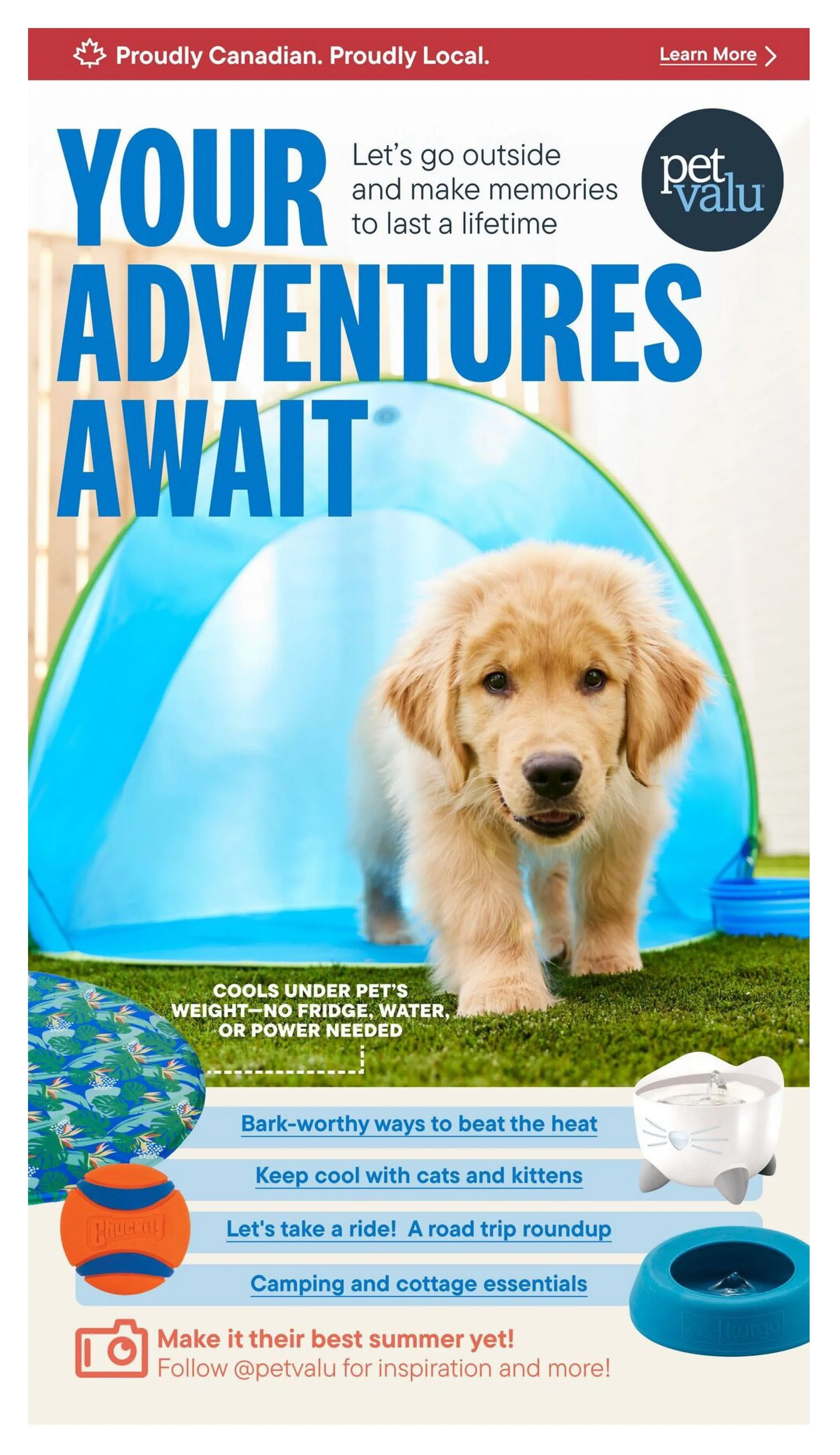 Pet Valu Sales - July 23 July 29 2025