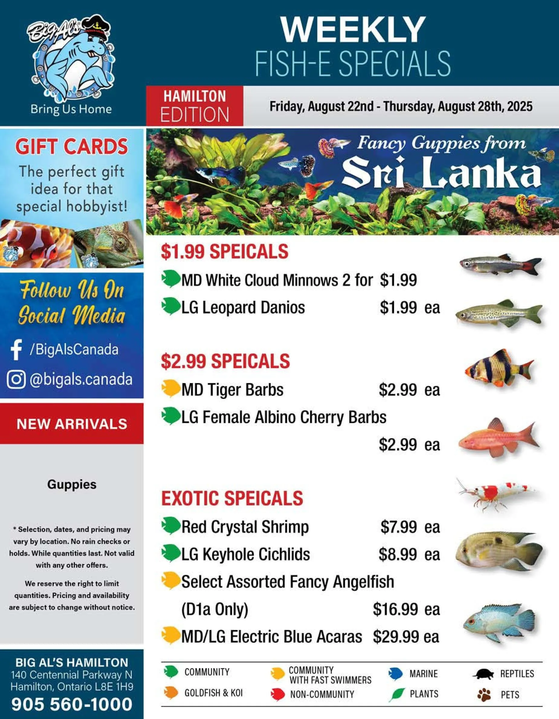 Big Al's Pets Sales from August 22 to August 28 2025 - flyer page 1