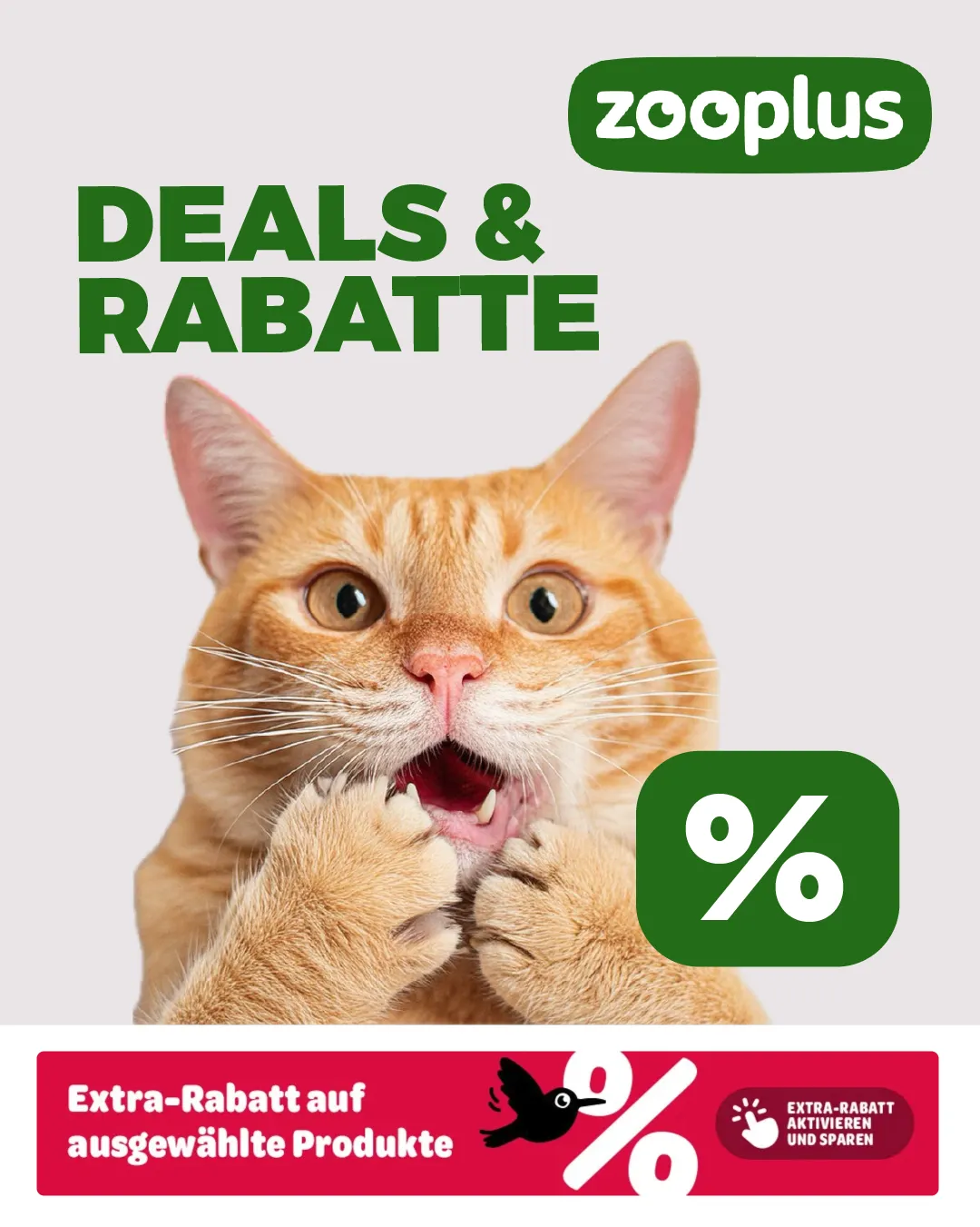 Rabatte von 20. Februar bis 8. März 2025 - Prospekt seite 