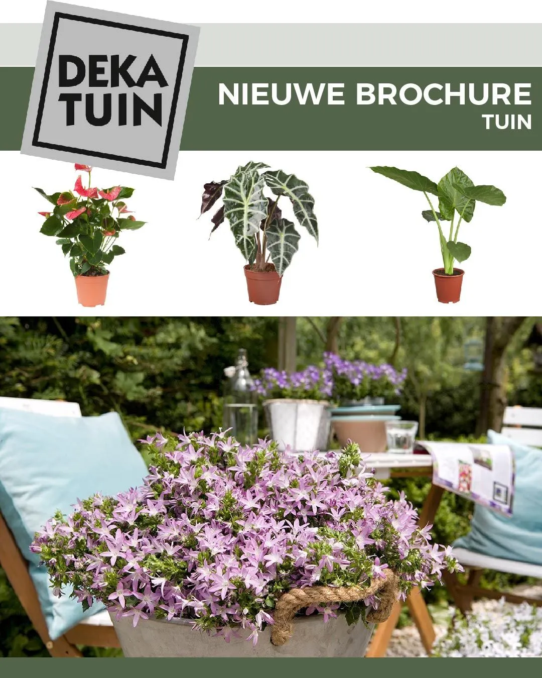 Deka Tuin Aanbiedingen van 1 augustus tot 16 augustus 2025 - Folder pagina 