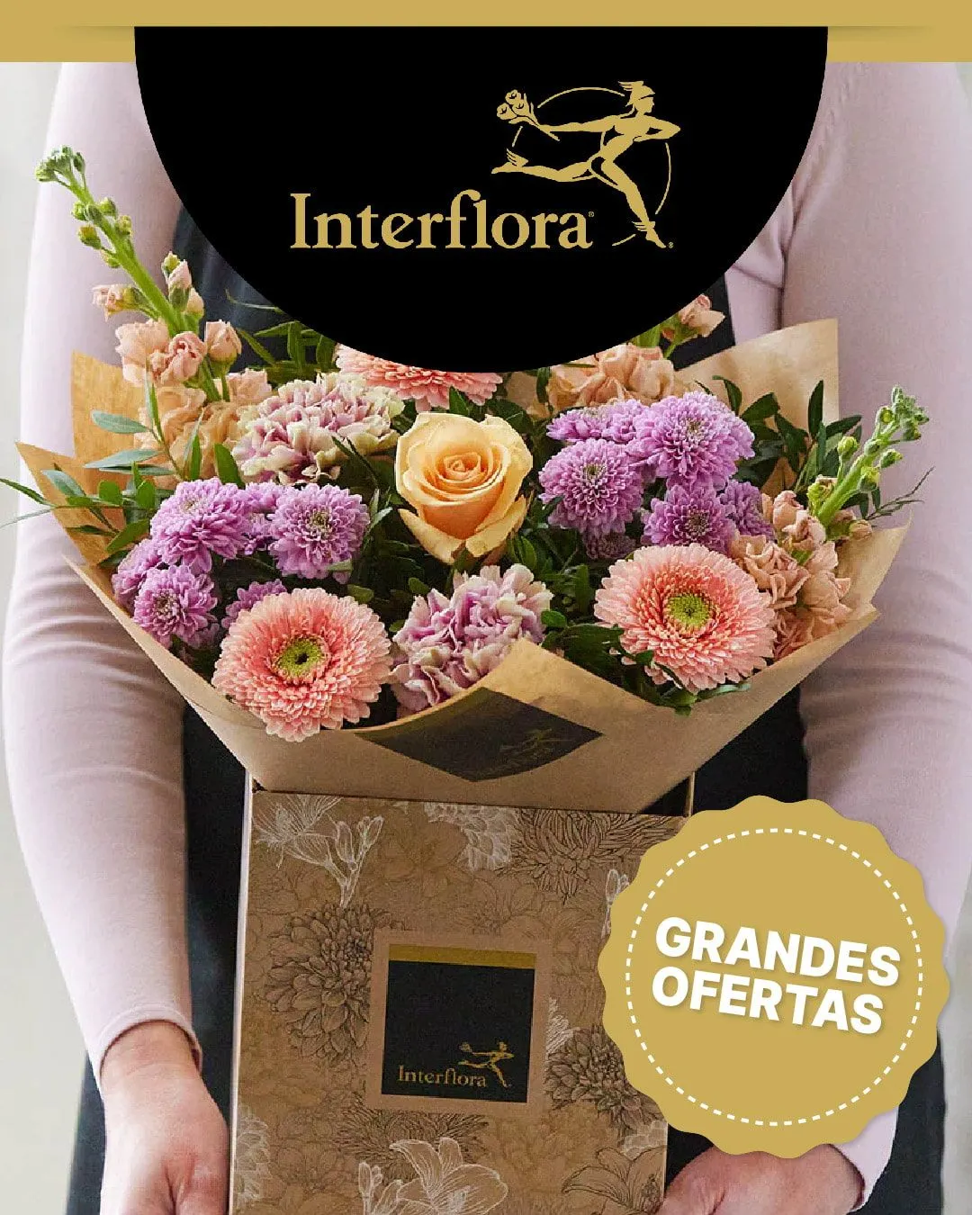 Catálogo de Interflora ofertas plantas 18 de agosto al 2 de septiembre 2025 - Página 1