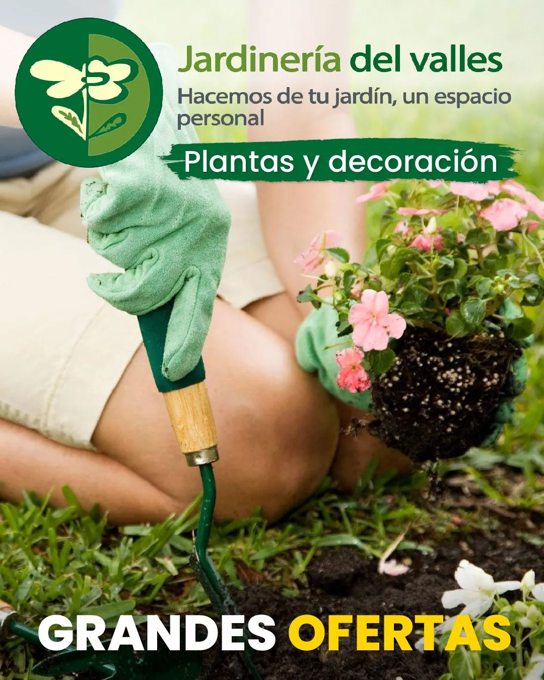 Catálogo de Jardinería del Vallés ofertas plantas 25 de agosto al 9 de septiembre 2025 - Página 1