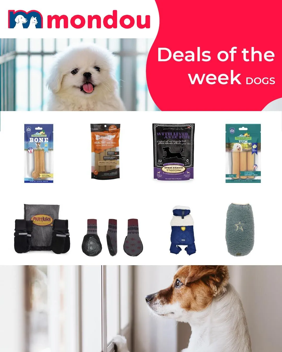 Mondou Dog Deals from August 25 to September 9 2025 - flyer page 1