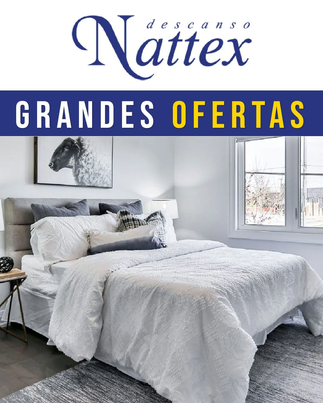 Catálogo de Nattex ofertas de la semana 22 de agosto al 6 de septiembre 2025 - Página 1