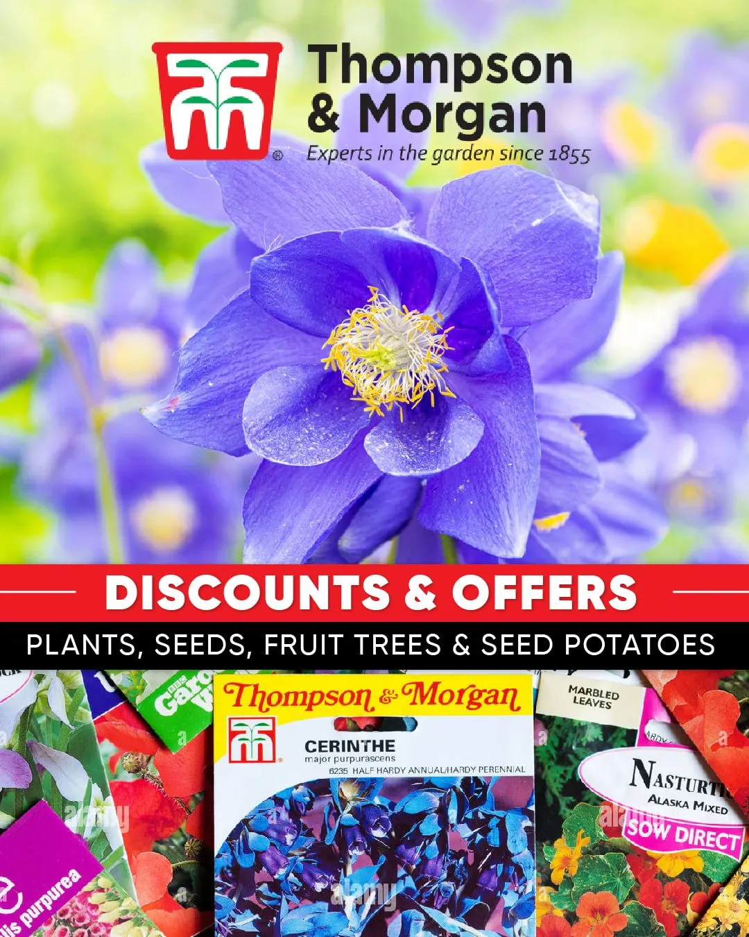 Thompson & Morgan - Flowers from 18 December to 23 December 2023 - Catalogue Page 