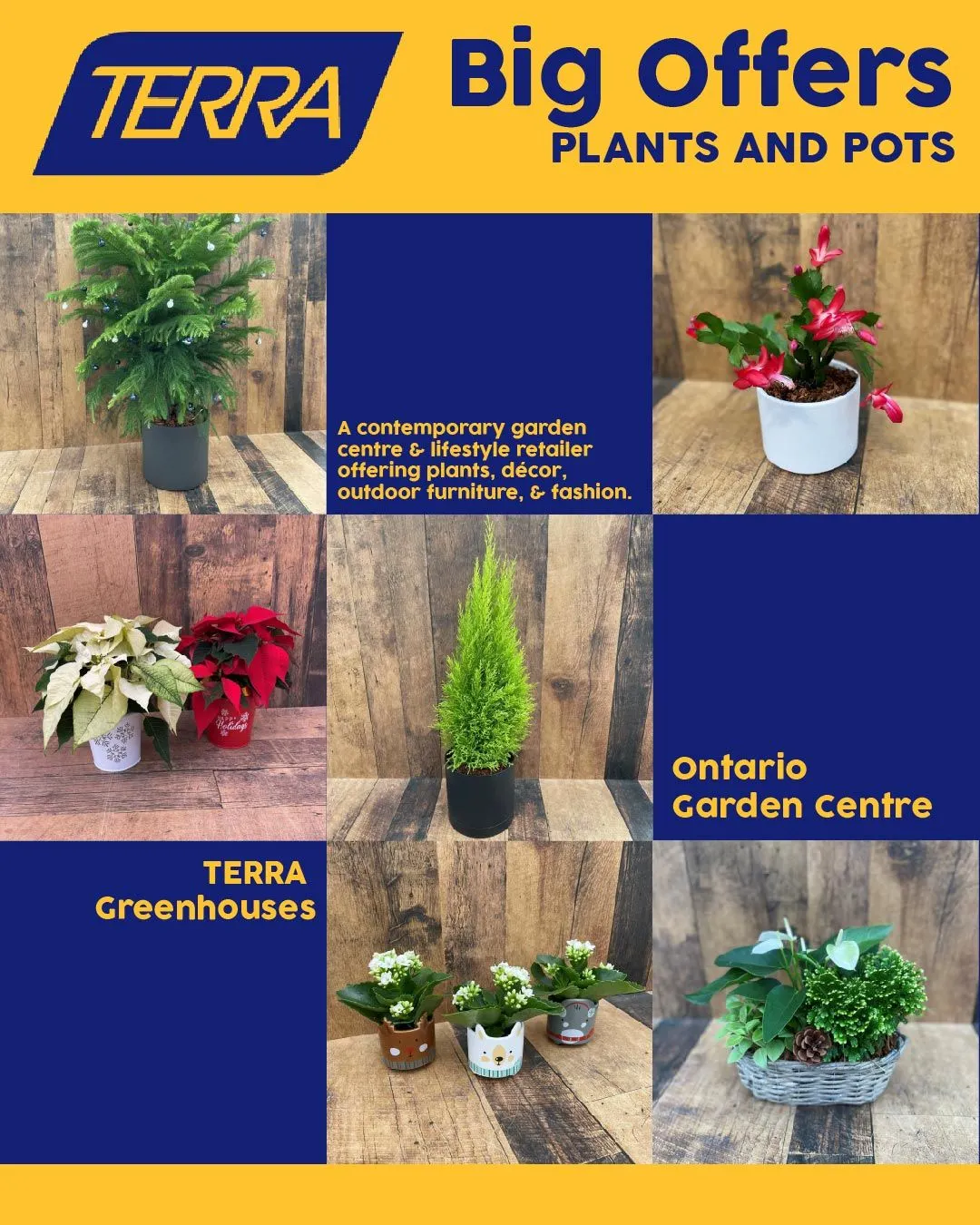 Terra Green Houses Deals from August 3 to August 18 2025 - flyer page 