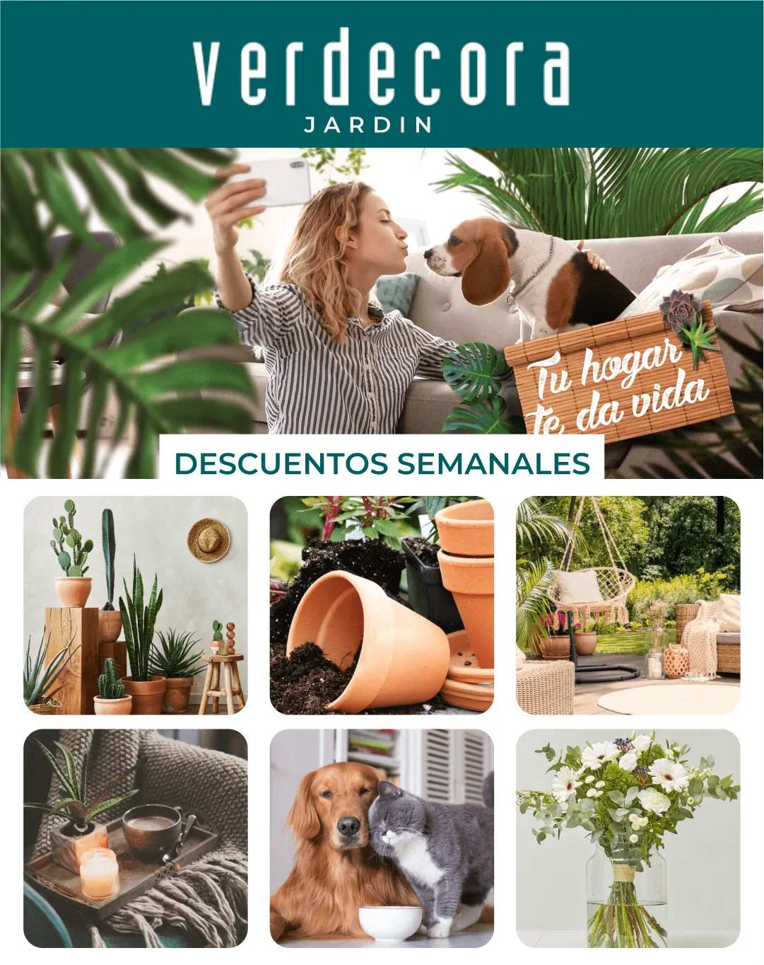 Catálogo de Verdecora Express - Jardin 24 de agosto al 8 de septiembre 2025 - Página 1