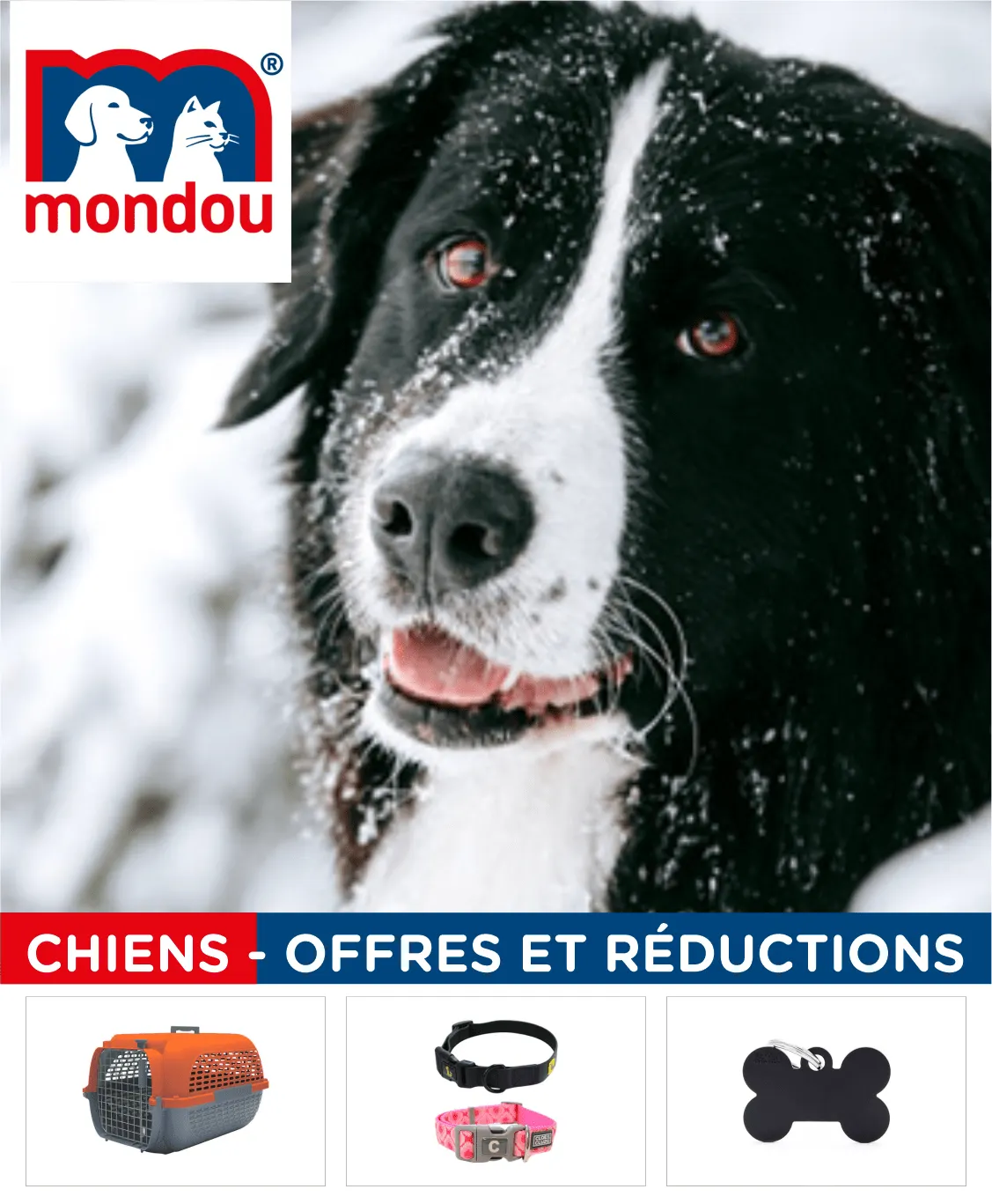 Mondou Promos: Aliments Chiens du 14 août au 29 août 2025 - Circulaires page 1