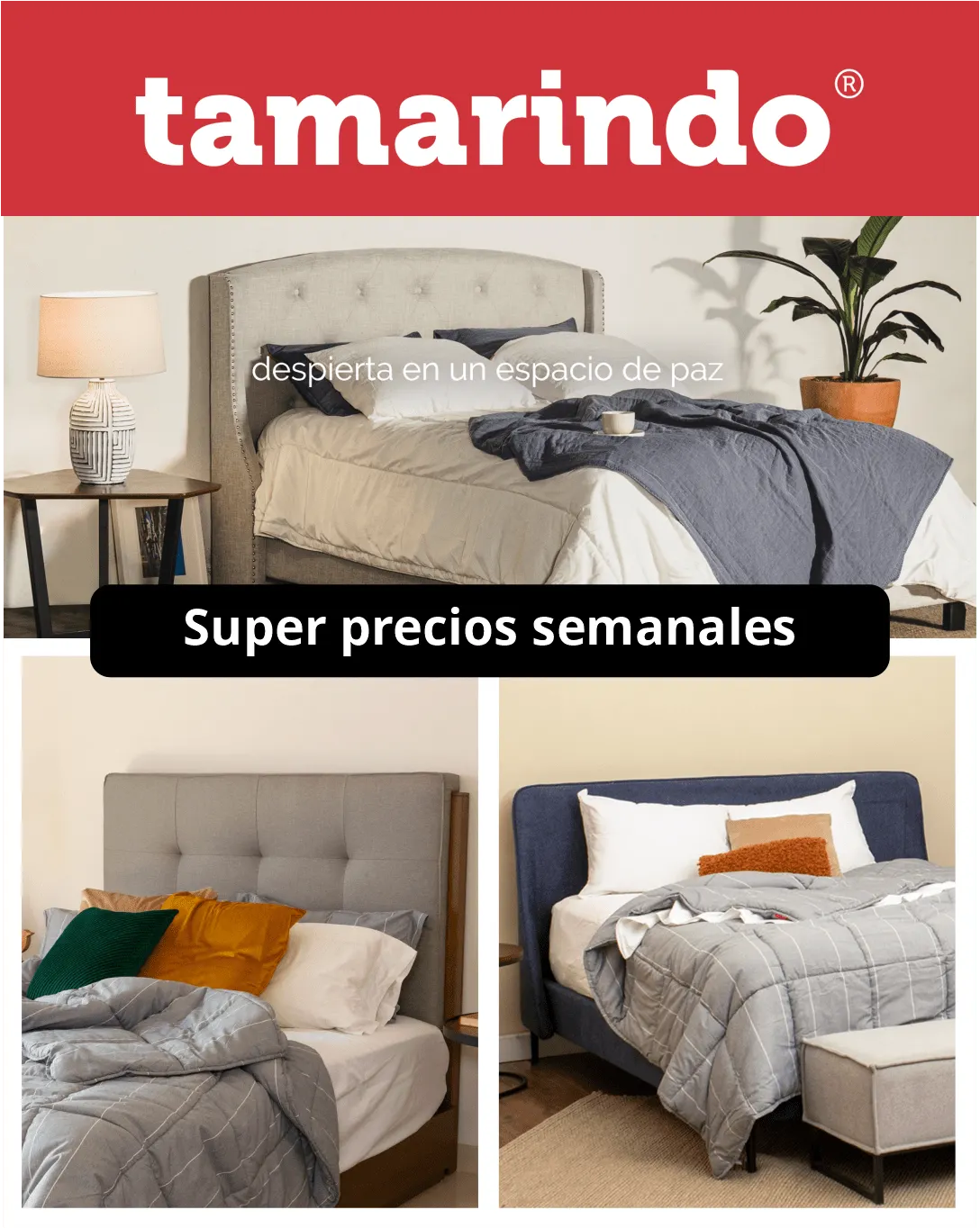 Catálogo de Tamarindo precios de la semana  10 de julio al 25 de julio 2025 - Pagina 1