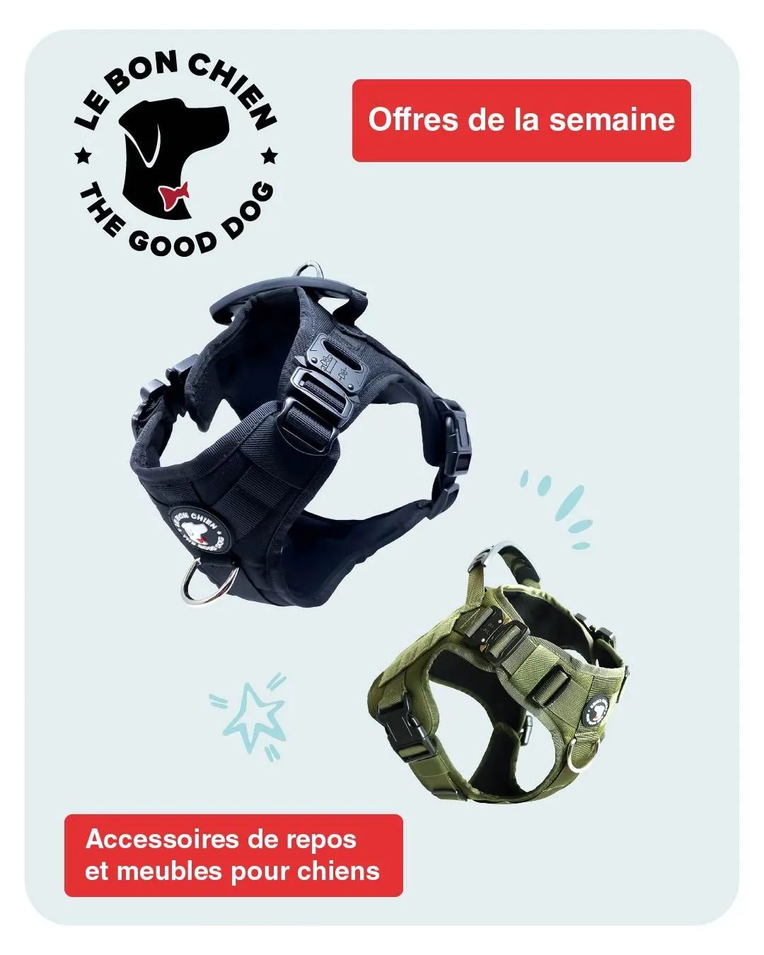 Catalogo de LeBon ofertas productos para perros 29 de julio al 3 de agosto 2024 - Pag 