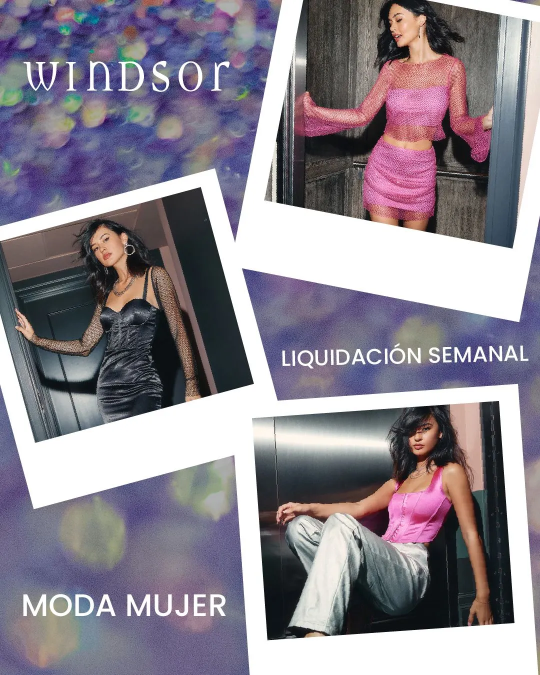 Catálogo de Windsor precios de la semana  22 de agosto al 6 de septiembre 2025 - Pagina 