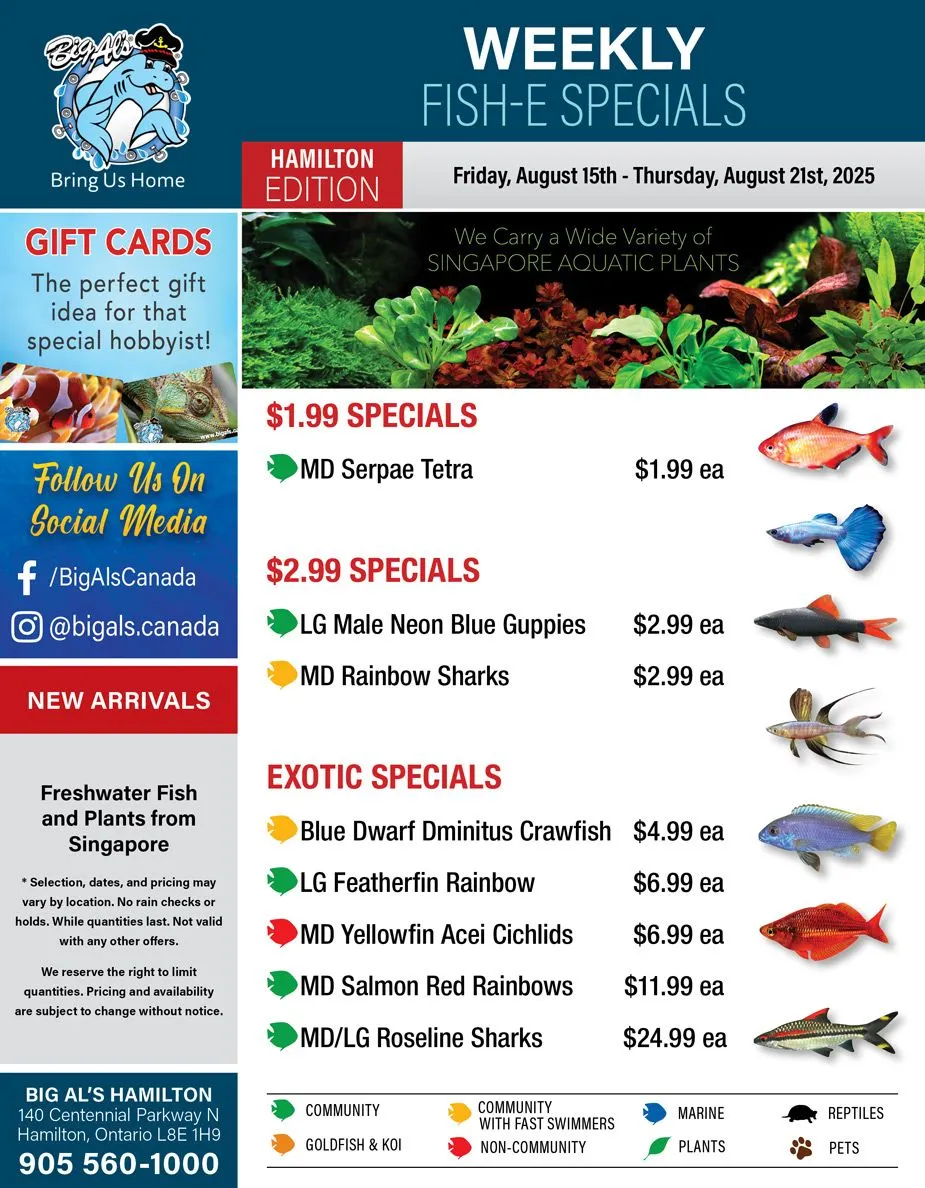  Big Al's Pets Sales from August 15 to August 21 2025 - flyer page 1