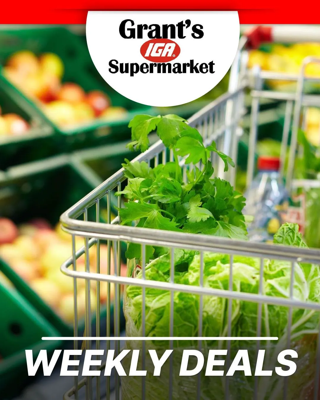 Weekly ad Grant's Supermarket Deals from August 28 to September 12 2025 - Page 1