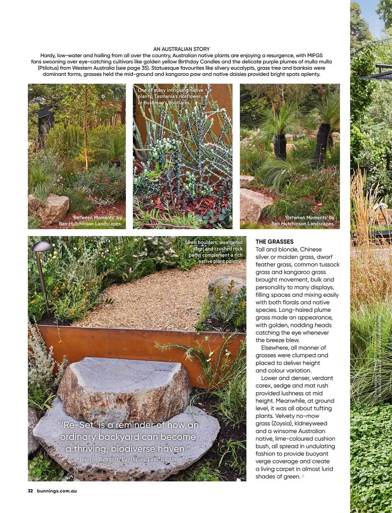Bunnings catalogue - Catalogue valid from 1 August to 31 August 2025 - page 32