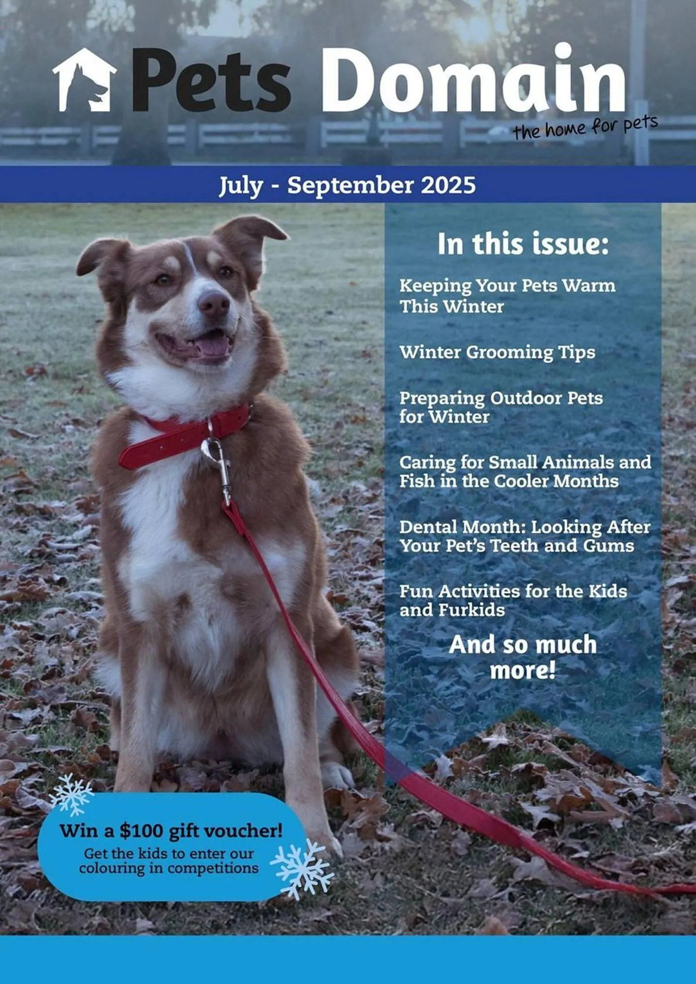 Pets Domain catalogue - Catalogue valid from 1 July to 30 September 2025 - page 1