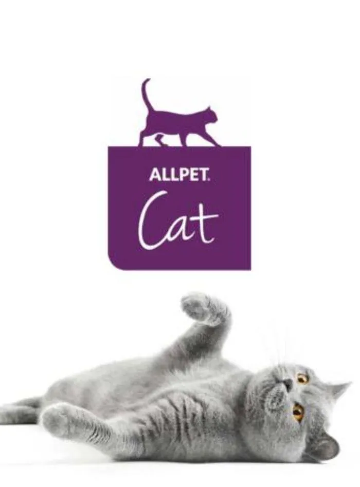 Cat Catalogue 2024 - 1