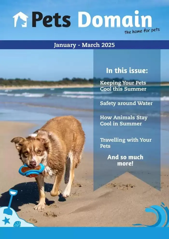 January - March 2025 - Catalogue valid from 6 January to 31 March 2025 - page 1
