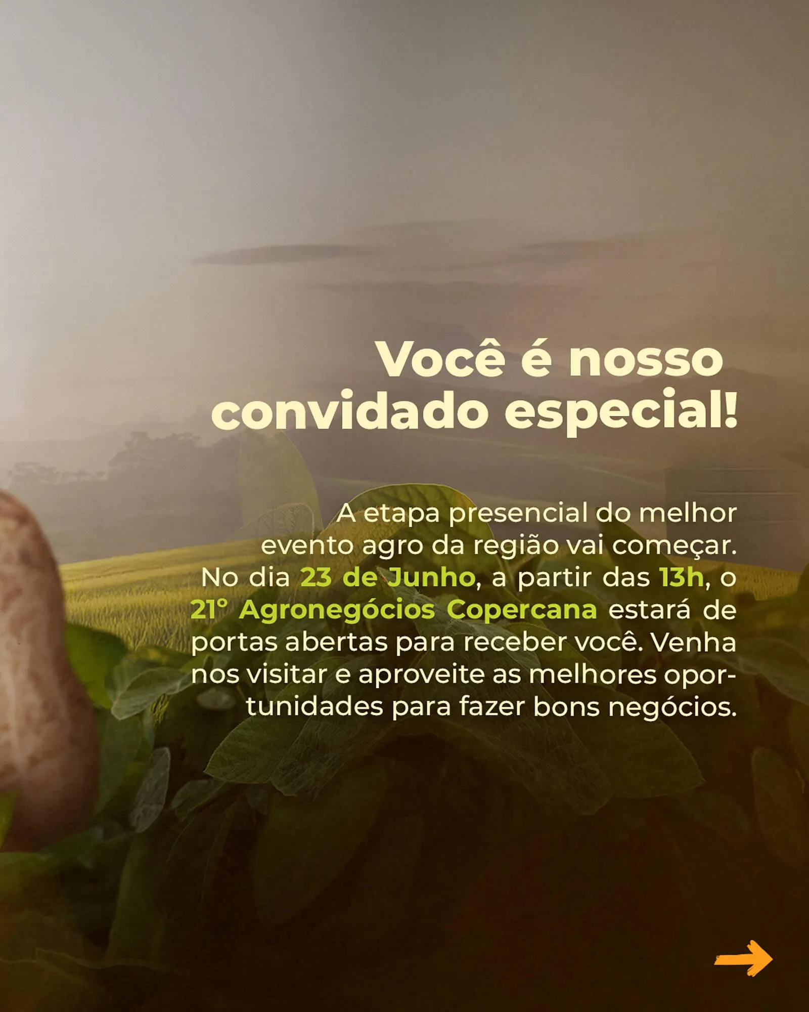 Encarte de Catálogo Copercana 23 de junho até 27 de junho 2025 - Pagina 2