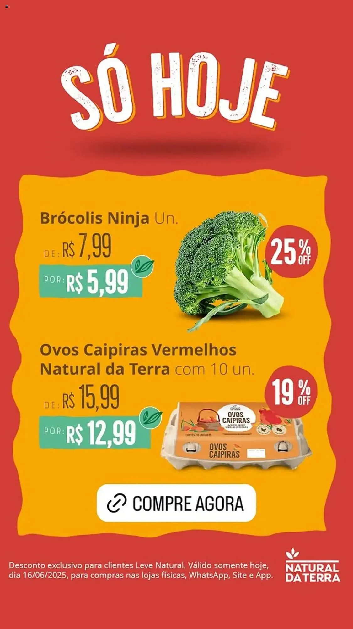 Catálogo Natural da Terra - 1