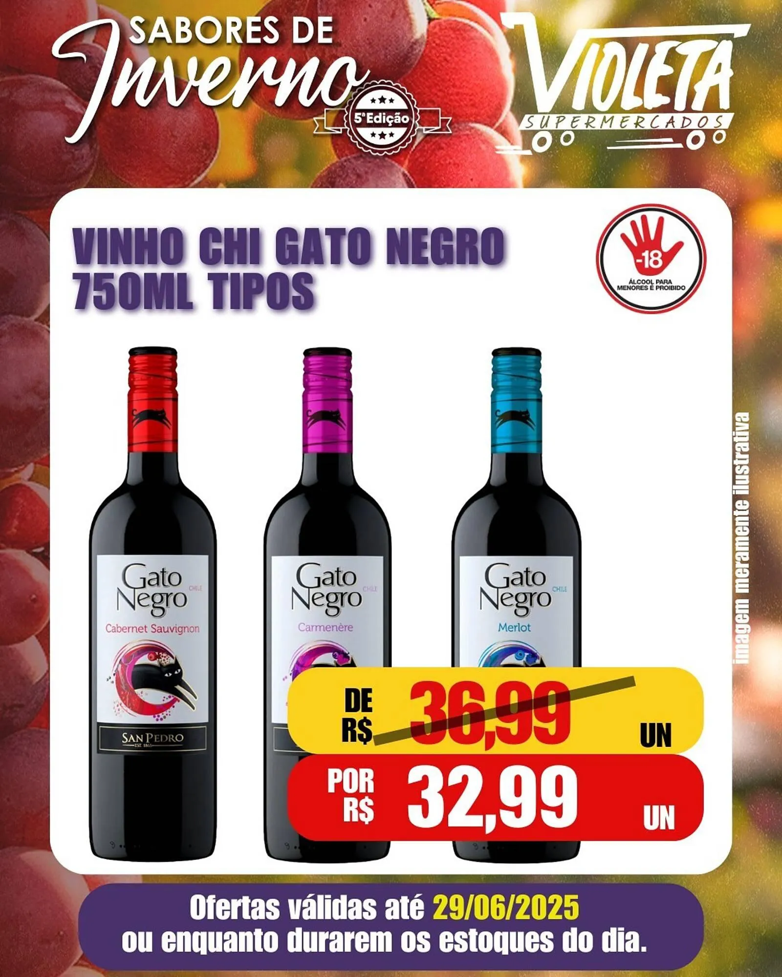 Encarte de Catálogo Violeta Supermercados 9 de junho até 29 de junho 2025 - Pagina 3