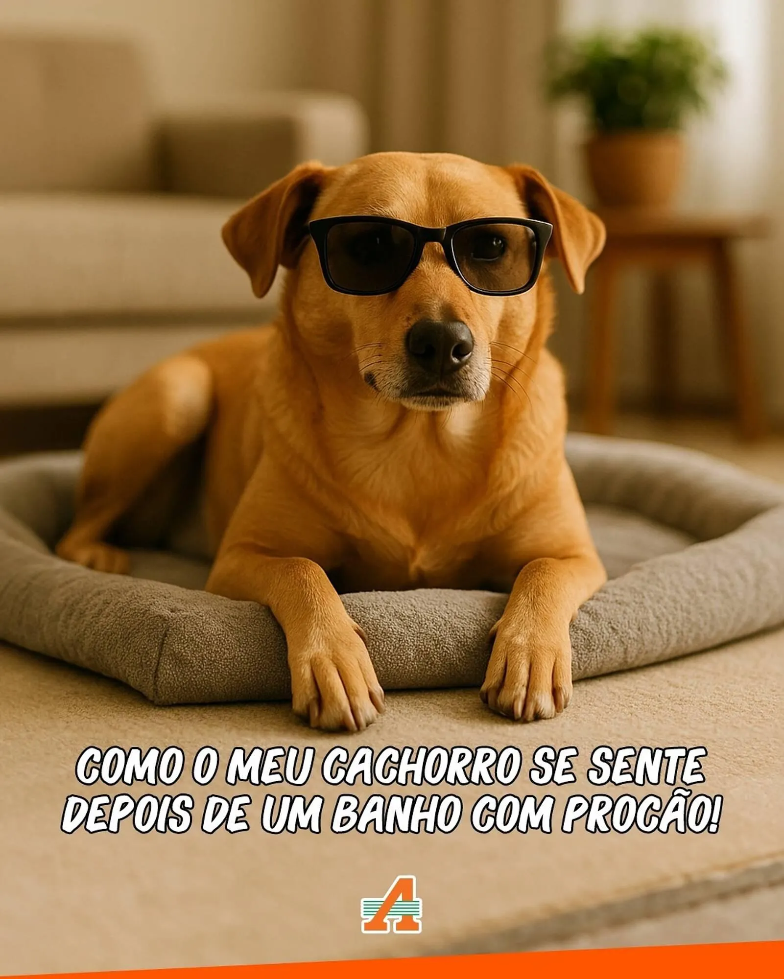 Catálogo Atacadão - 1