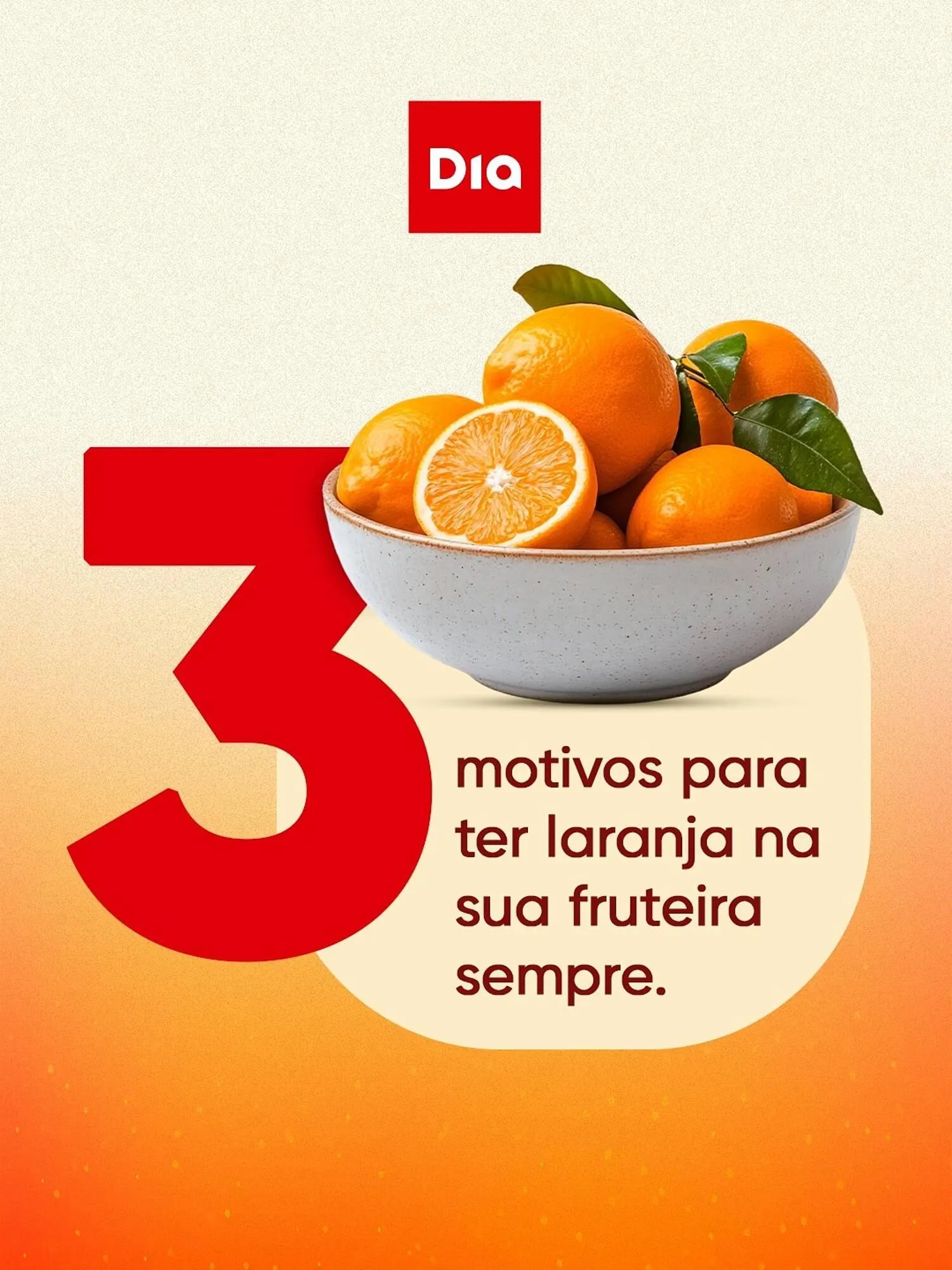 Catálogo Dia - 1