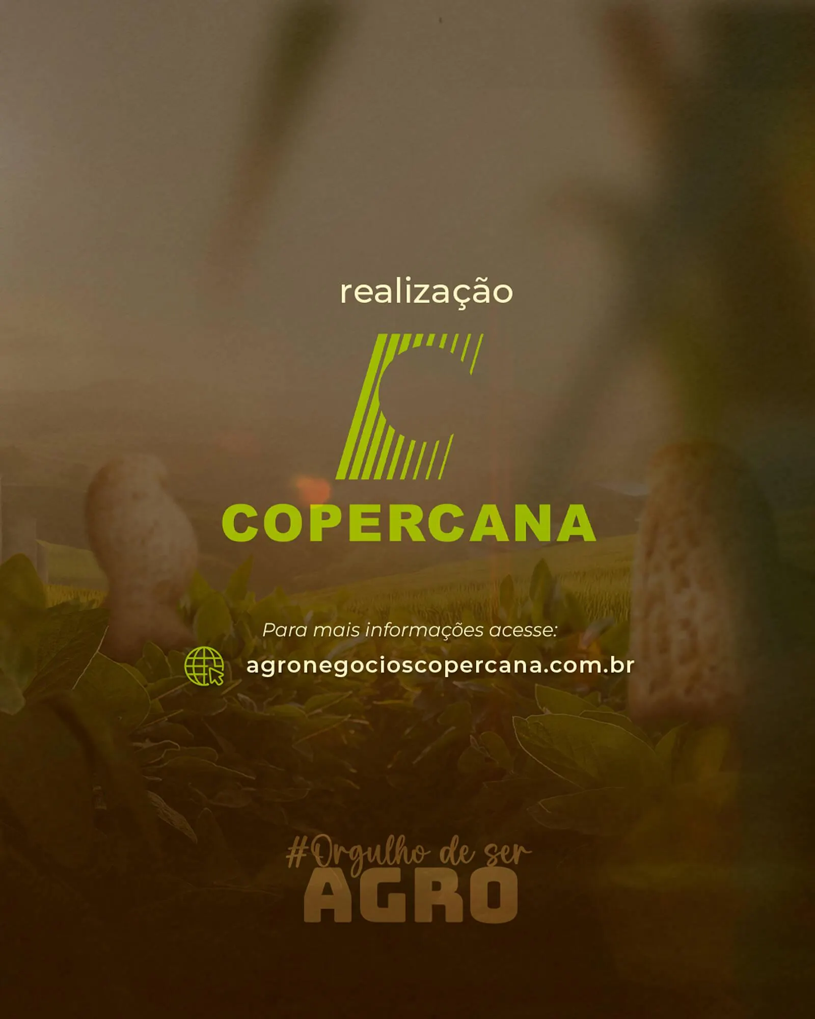 Encarte de Catálogo Copercana 23 de junho até 27 de junho 2025 - Pagina 3