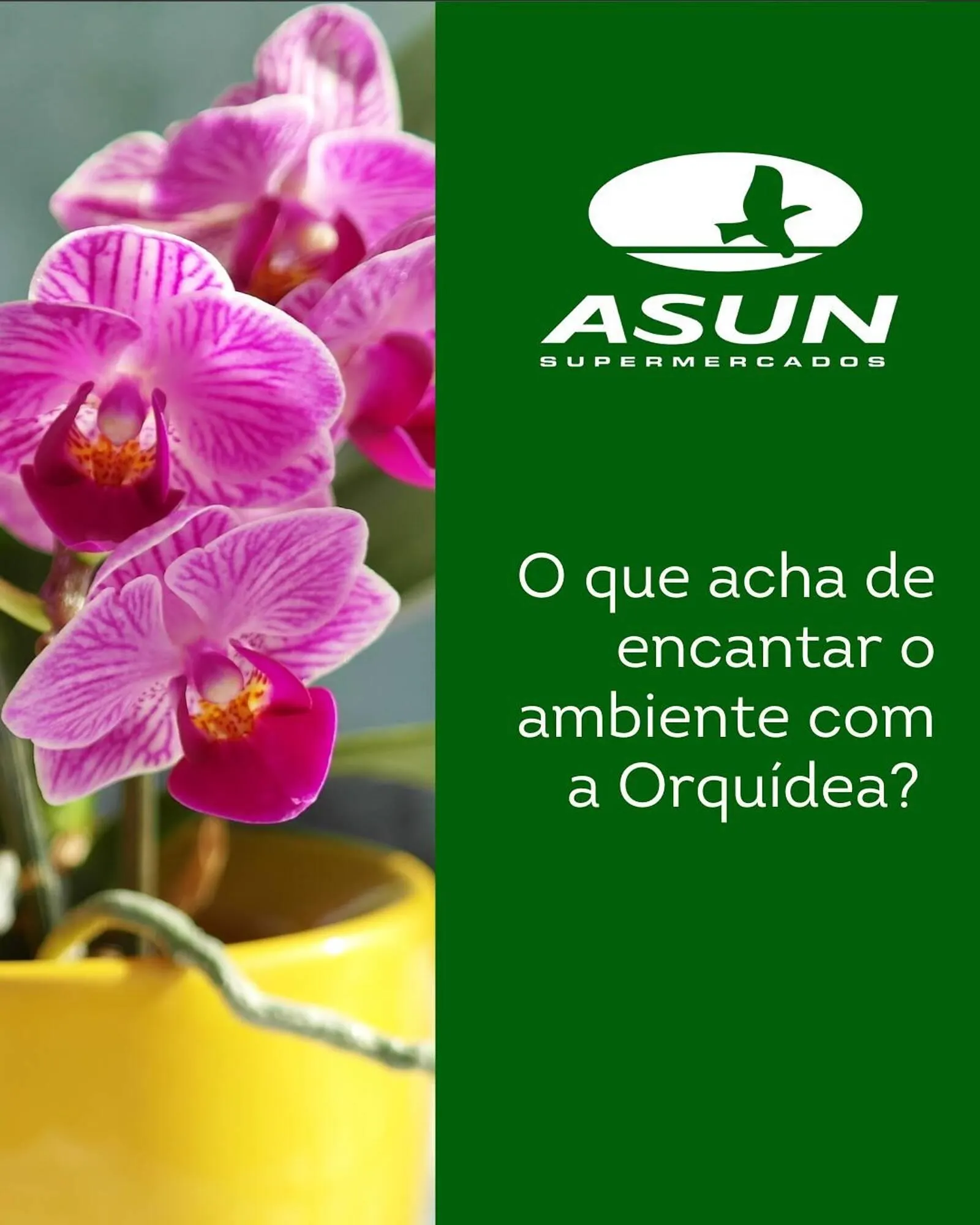 Encarte de Catálogo Asun 7 de maio até 13 de maio 2025 - Pagina 5