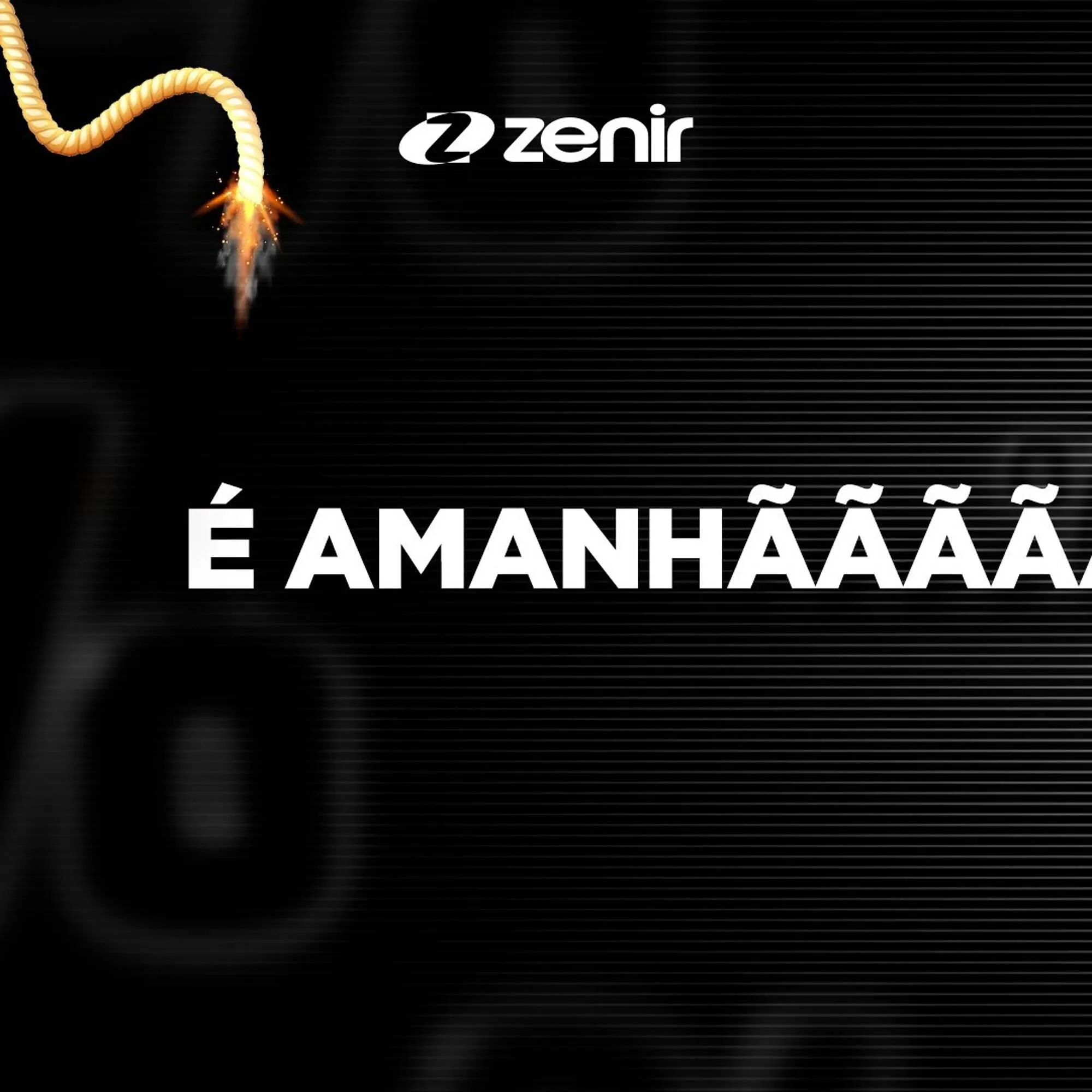 Catálogo Zenir - 1