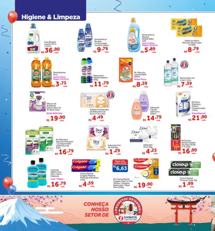 Encarte de Ofertas Shibata Supermercados 28 de maio até 3 de junho 2024 - Pagina 6