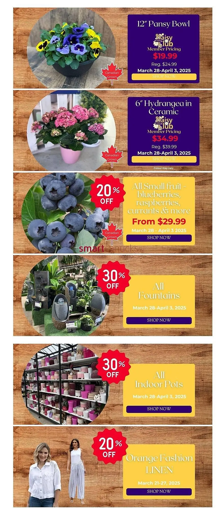 Terra Green Houses flyer - 1