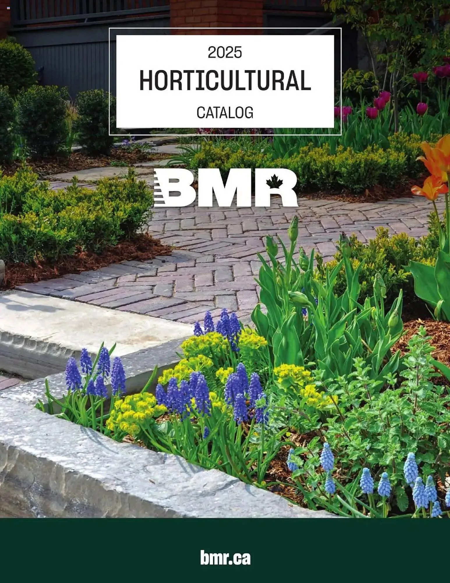 BMR flyer from April 10 to December 31 2025 - flyer page 1