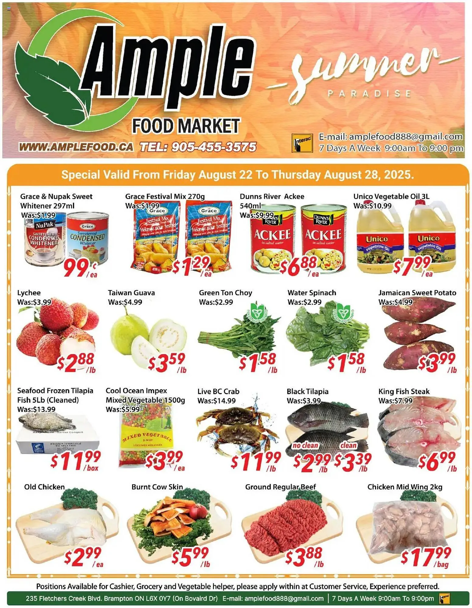 Ample Food Market flyer from August 22 to August 28 2025 - flyer page 1