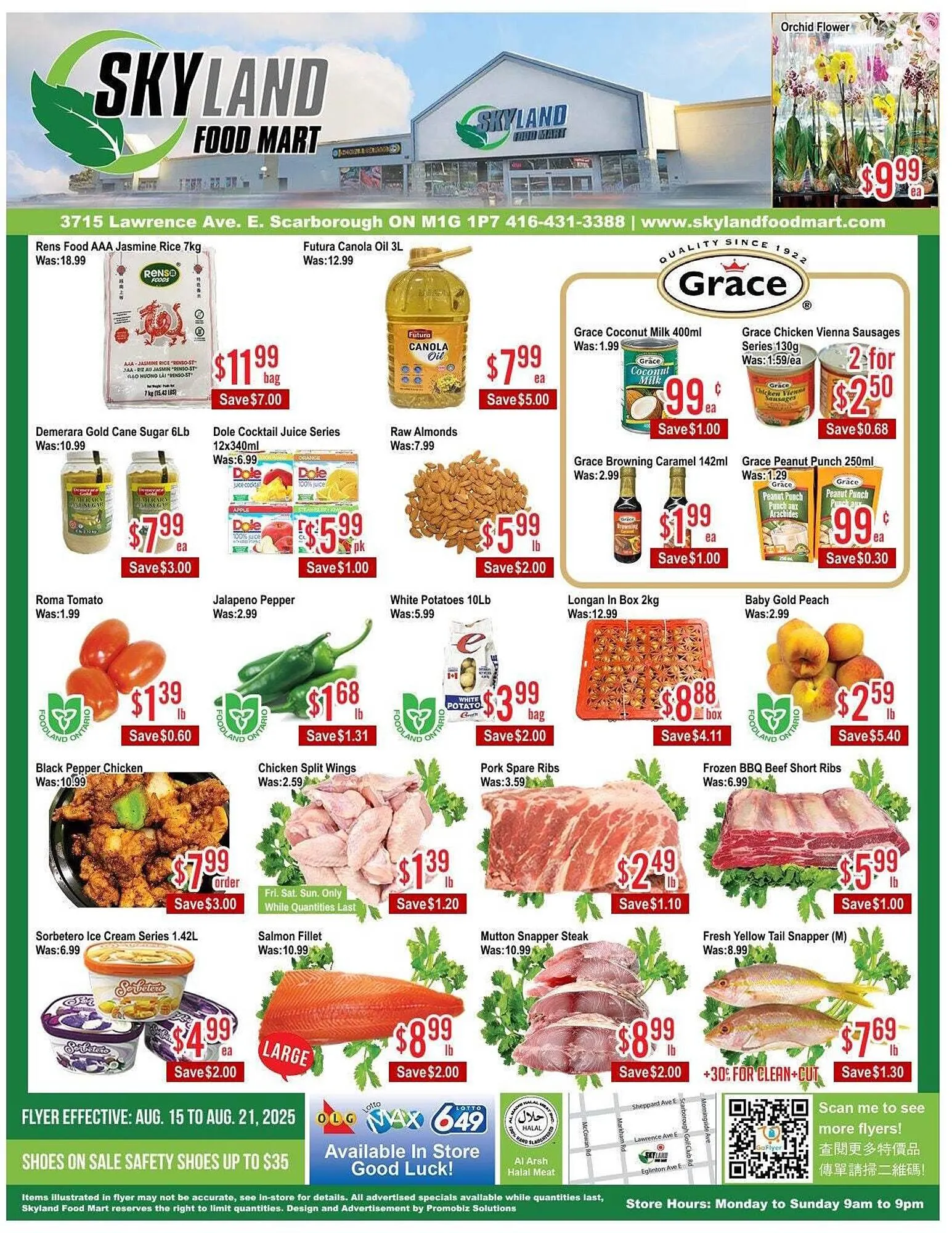 Skyland Foodmart flyer from August 15 to August 29 2025 - flyer page 1
