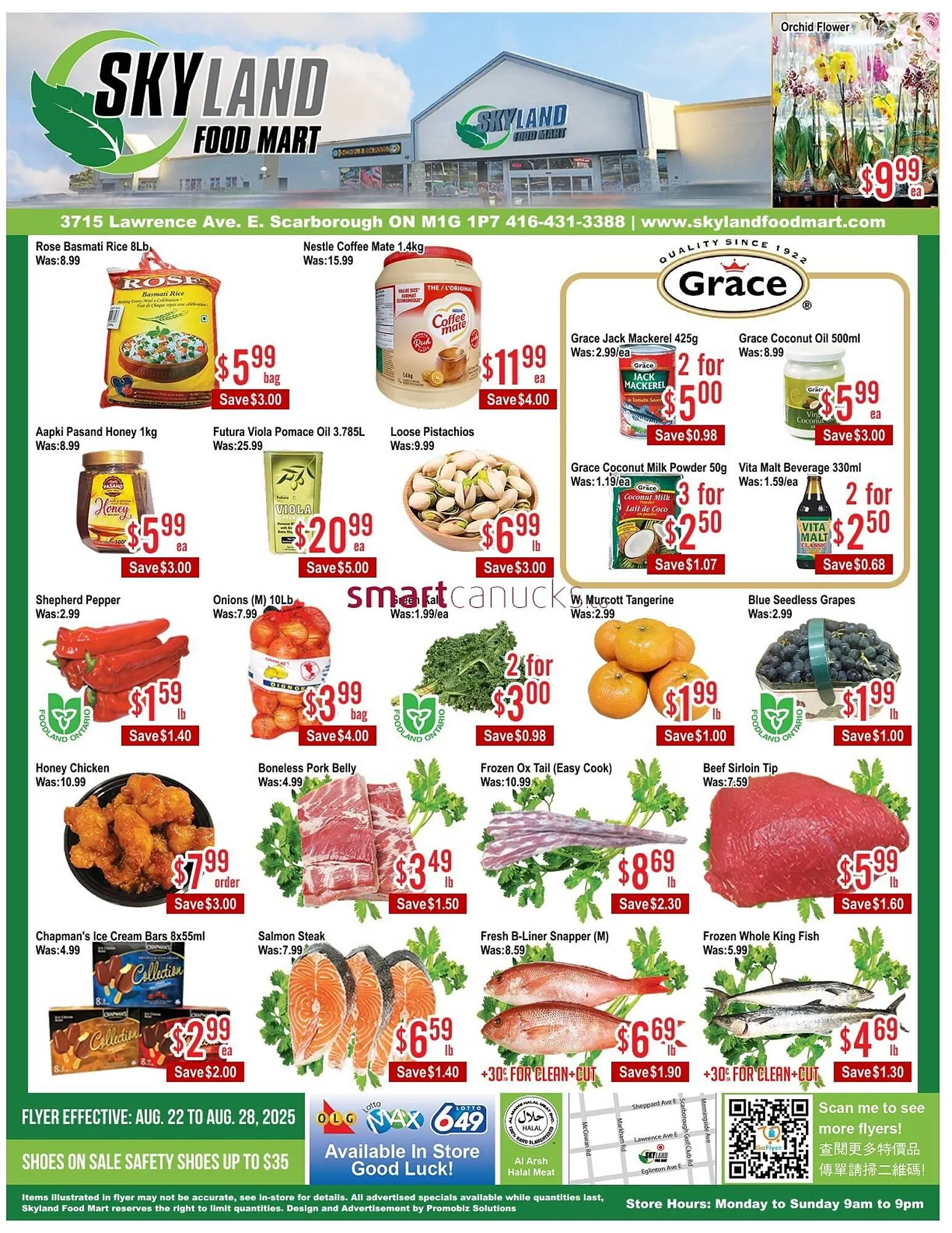 Skyland Foodmart flyer from August 22 to August 28 2025 - flyer page 1