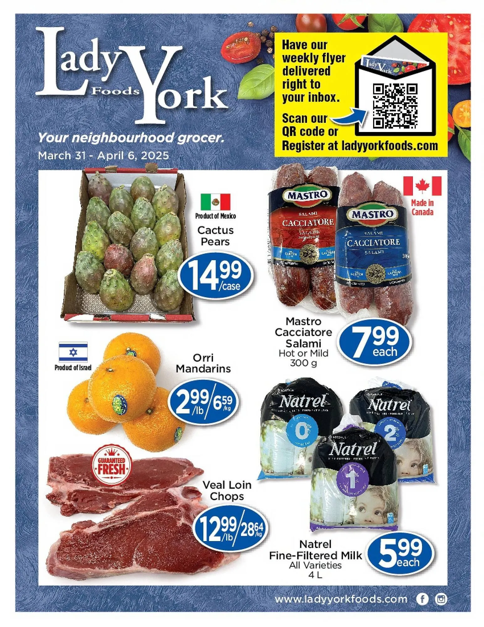 Lady York flyer - 1