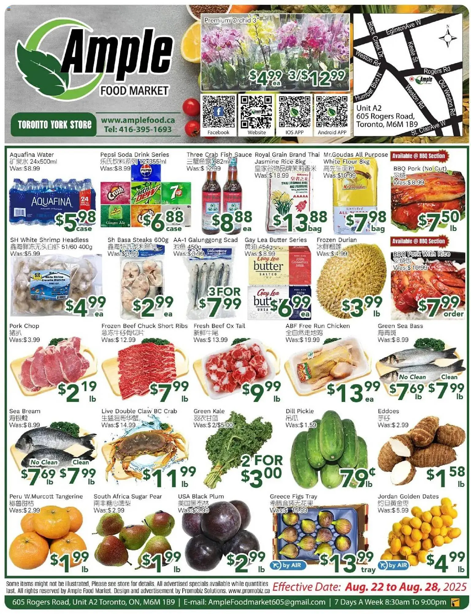 Ample Food Market flyer from August 22 to August 28 2025 - flyer page 1