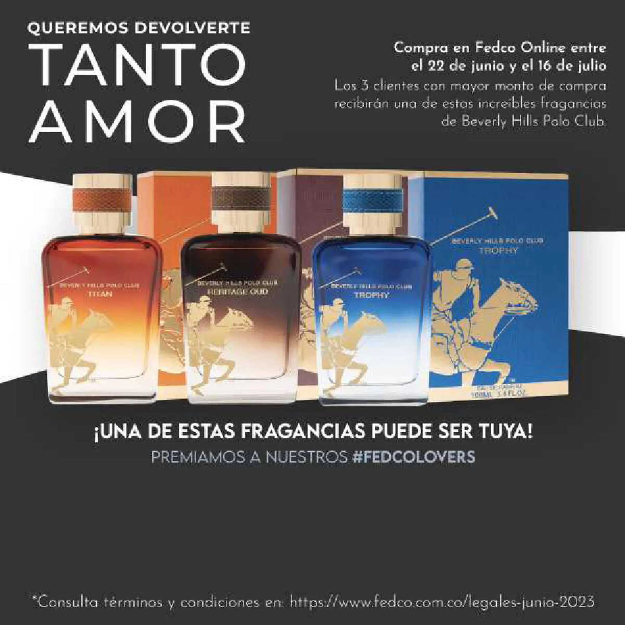 Catálogo Fedco - 1