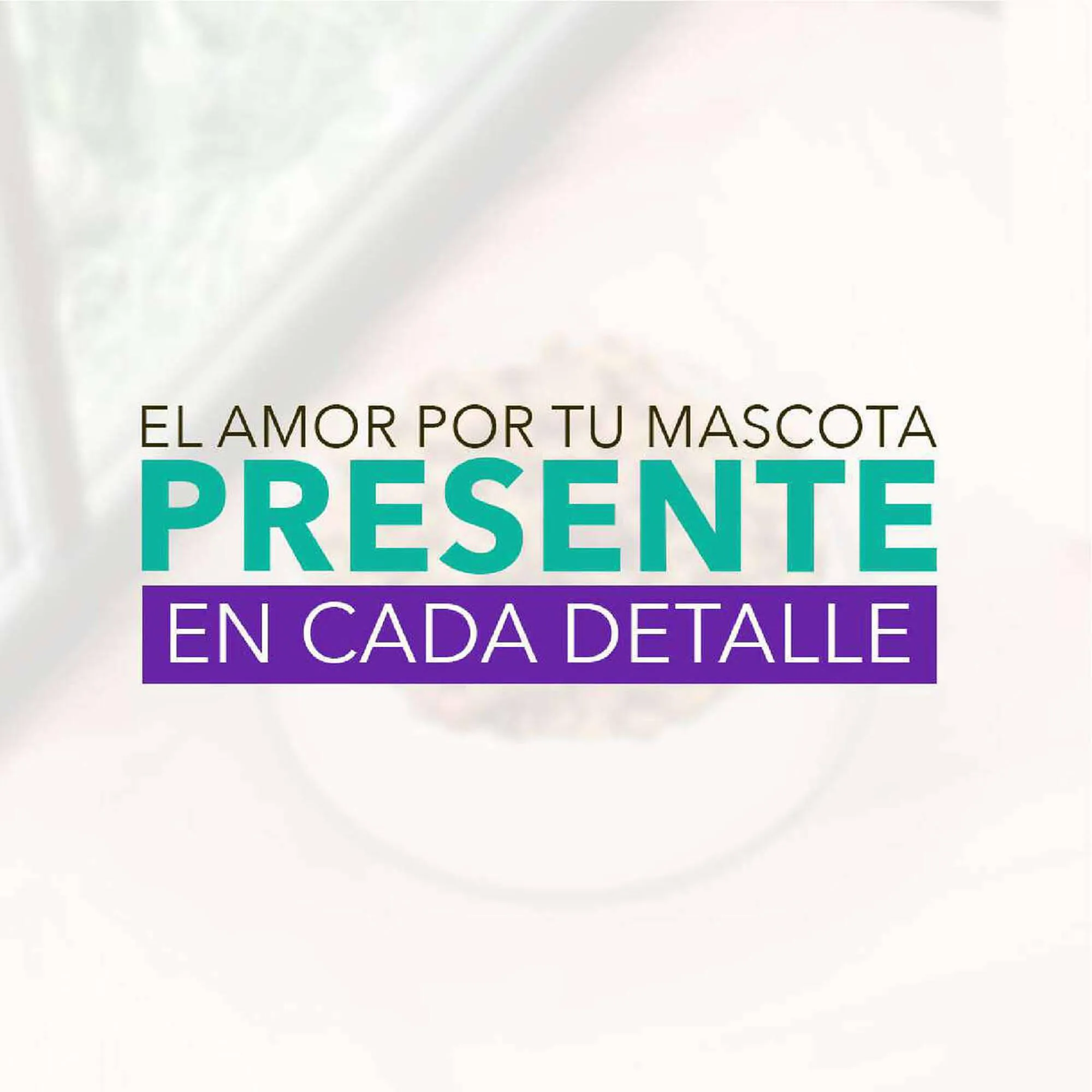 Catalogo de Catálogo Rimax 4 de octubre al 13 de diciembre 2023 - Pag 1