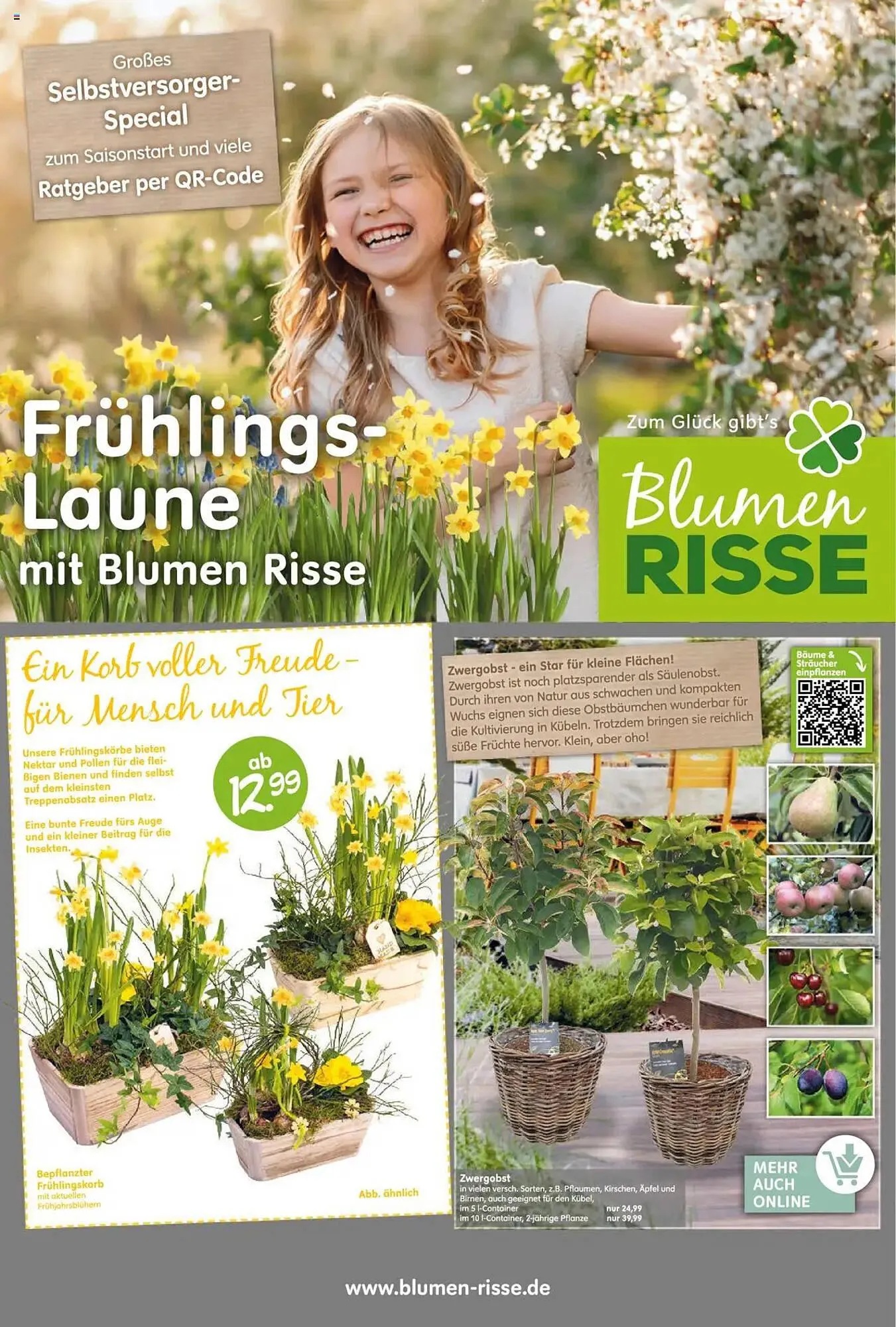 Blumen Risse Prospekt - 1