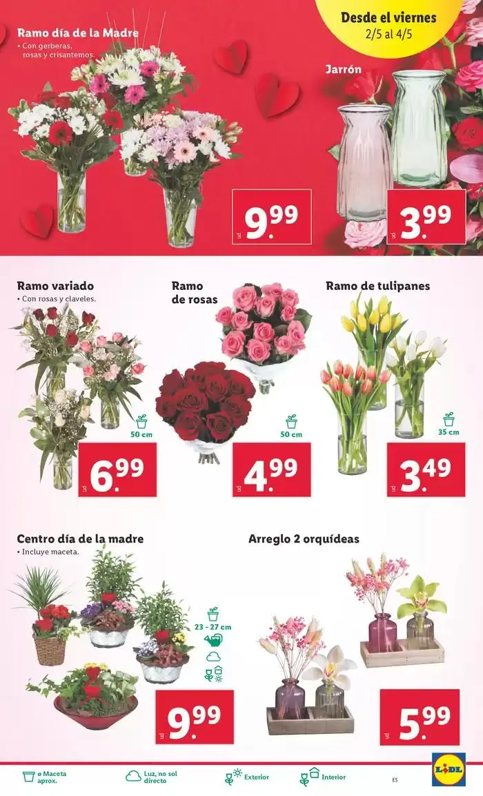 Catálogo de ¡Bazar Lidl! Ofertas válidas del 28/04 al 04/05 28 de abril al 4 de mayo 2025 - Página 13