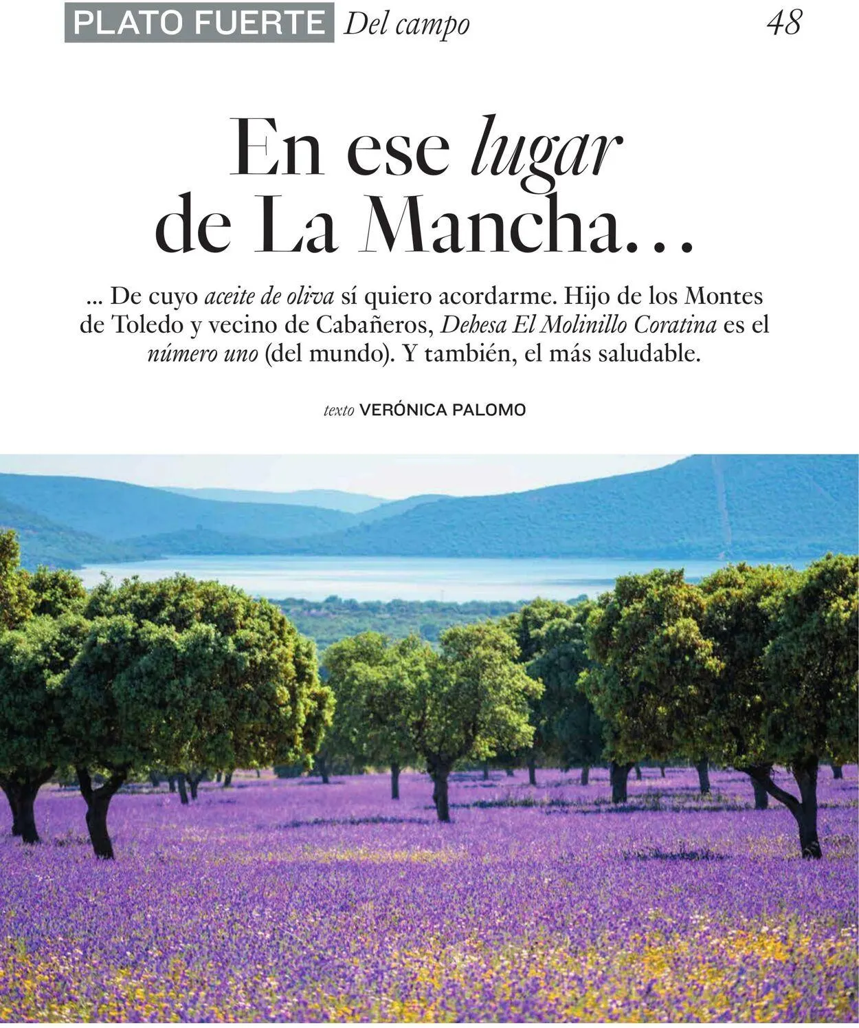 Catálogo de El Corte Inglés Oferta actual 4 de junio al 18 de junio 2025 - Página 48