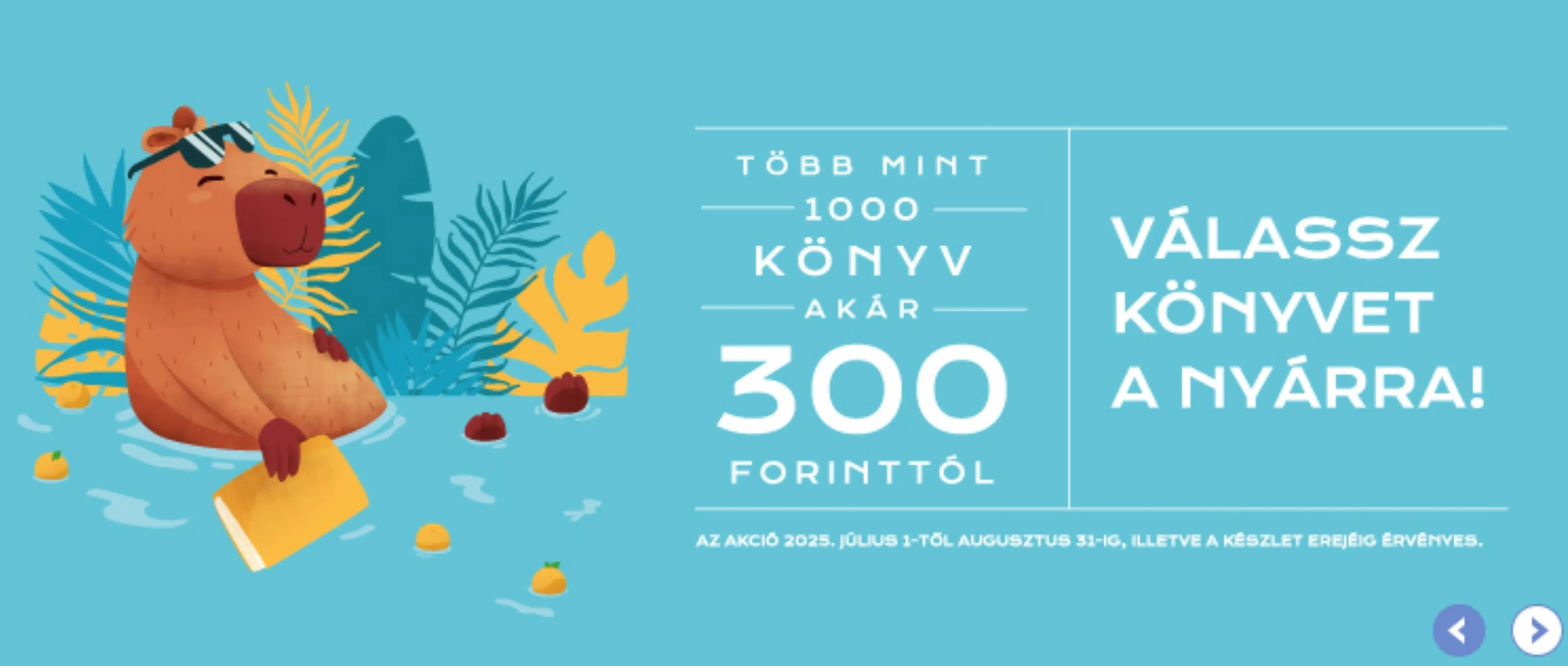 Katalógus Líra akciós újság július 1.-tól augusztus 31.-ig 2025. - Oldal 1