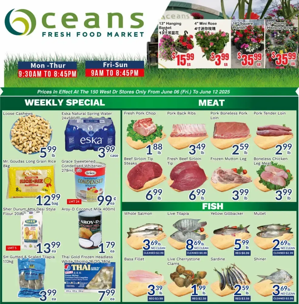 Oceans Deals from June 11 to June 12 2025 - flyer page 